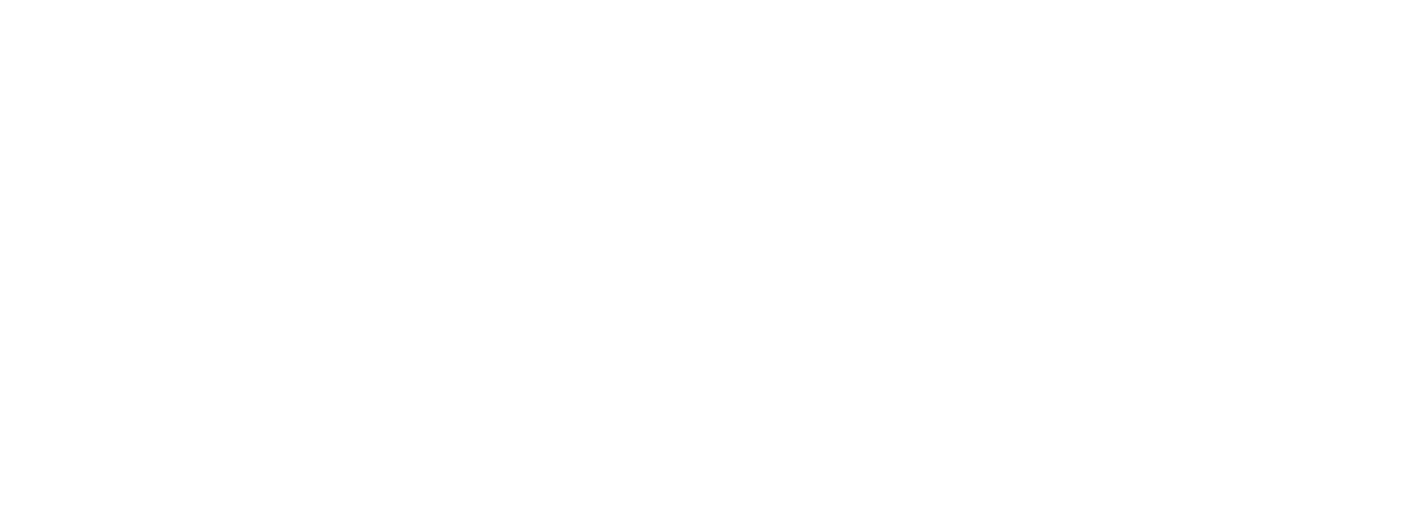 kaneitsupport.com